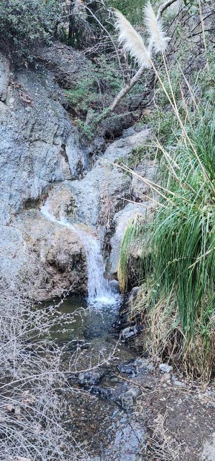 Heaven'S Best Kept Secret 4 Min From The Sea Los Angeles Exterior photo
